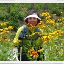 전통음식점 원양 이미지