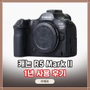 댄스스포츠 야간 | 캐논 EOS R5 Mark II, 1년 실사용 후기, 장·단점 분석