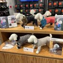 개르메스 이미지