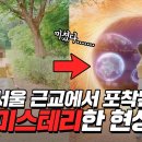 마블게임 이미지