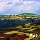 성경 속에 음식 종류와 특징 이미지