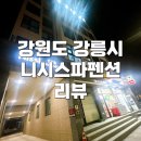 니시스파펜션 이미지