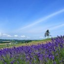 빈센트의원 이미지