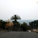 법환마을회관 이미지