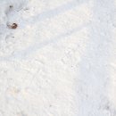 노리재천 이미지