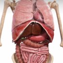 팀나이스짐 이미지