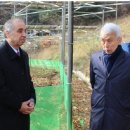 분당태양광발전소 이미지