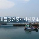연도항