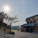 파리바게트화성남양점