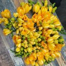 커피바리스타2급(수) 이미지