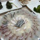 막썰어회 - 구미시 | 막썰어회
