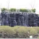 석곡돼지한마리 이미지