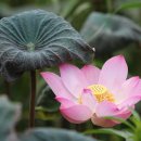 수암옥사우나 이미지