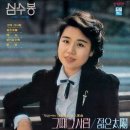 심수봉 이미지