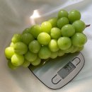 보라농장 이미지