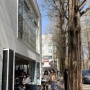 카페 위 양재점 | [양재천 카페] 퀸즈베리도넛하우스 양재점 내돈내산 후기