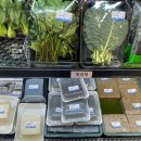 중동청과 이미지