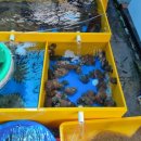 거진항(판매장) 이미지