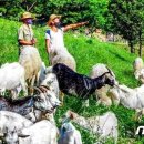 영진농장 이미지