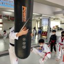 용인대 도곡 태권도장 이미지