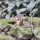 옥천 약수터 이미지