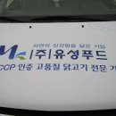 강화갯벌장어영어조합법인