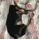 안성체육공원3 이미지