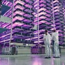 재현목장 이미지