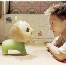 장강 - 부안군 남문안길 15 | 장강