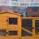 정민유치원 이미지