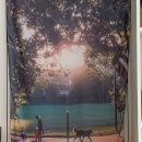 치킨 투고 이미지