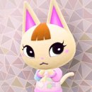 수원-0623 이미지