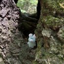 노고단-12 | 지리산 화엄사-노고단 등산 코스 후기(+국립공원 굿즈샵)