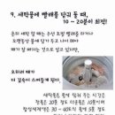 모모세탁소 네이버블로그
