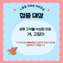 모네동물피부과 이미지