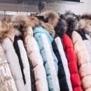 파파커머스