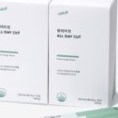 커트데이 이미지