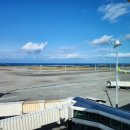 유이농장 | 일본 DOUTOR 카페에서 만난 가성비 밀레 크레이프 케이크 후기