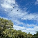 마방로6길 7-51 이미지