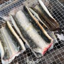 강당골캠핑파크 이미지