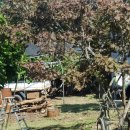 씨엔화이트 이미지