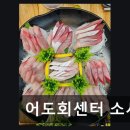 소사역 가성비 횟집 어도회센터 소사점 신선함과 친절함이 돋보여요