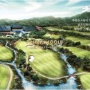 타니스테이 이미지