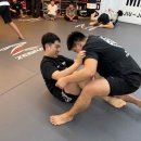 MMASTORY 복싱과 주짓수 이미지