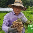 외반농장 네이버블로그