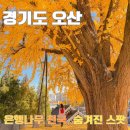 궐리사 | 오산 물향기수목원 근처 궐리사 은행나무 명소