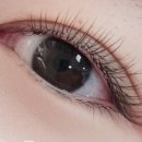 단아한속눈썹