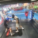 엘리트체육관 이미지