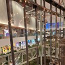 피자이탈리 이미지