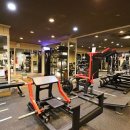 레이 휘트니스 이미지